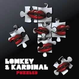Album cover of Puzzled