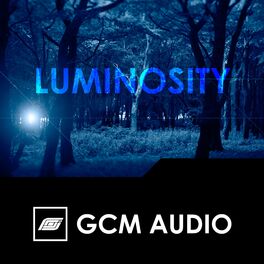 Album cover of Luminosity