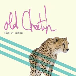 Album cover of Old Cheetah