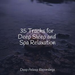 Album cover of 35 Tracks for Deep Sleep and Spa Relaxation
