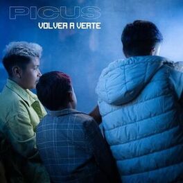 Album cover of Volver A Verte