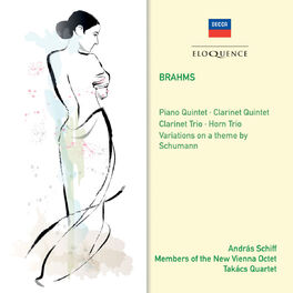 Album cover of Brahms: Clarinet Trio; Horn Trio; Variations on a theme of Schumann; Piano Quintet; Clarinet Quintet