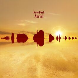 Album cover of Aerial (2018 Remaster)