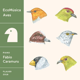 Album cover of Ecomúsica | Aves