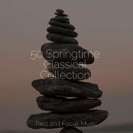 Album cover of 50 Springtime Classical Collection