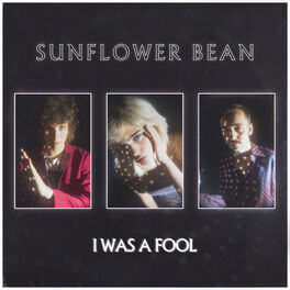 Album cover of I Was a Fool