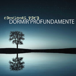 Album cover of Canciones para Dormir Profundamente - Musicas Instrumentales para la Siesta