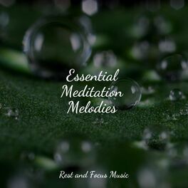 Album cover of Sleep Music Relaxation