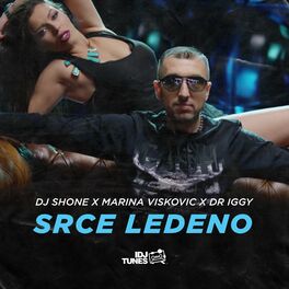 Album cover of Srce Ledeno