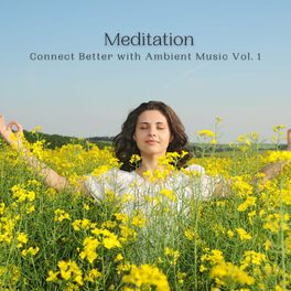 Album cover of Meditation: Connect Better with Ambient Music Vol. 1