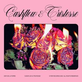 Album cover of Cashflow & Tristesse