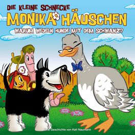 Album cover of 42: Warum wedeln Hunde mit dem Schwanz?