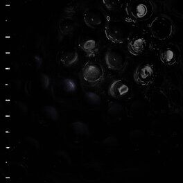 Album cover of Ice Melt