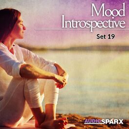 Album cover of Mood Introspective, Set 19
