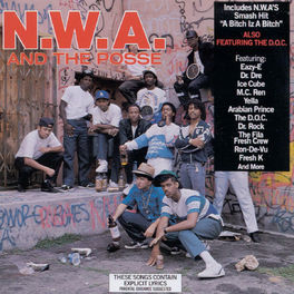 Album cover of N.W.A. And The Posse