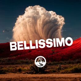 Album cover of Bellissimo