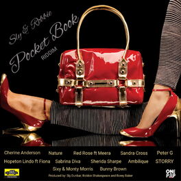 Album cover of Pocket Book Riddim