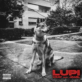 Album cover of Lupi