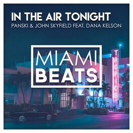 Album cover of In The Air Tonight