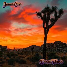Album cover of Desert Flower