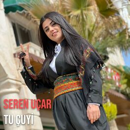 Album cover of Tu Çuyi