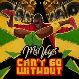 Album cover of Can't Go Without