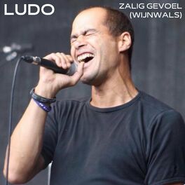 Album cover of Zalig Gevoel (Wijnwals)