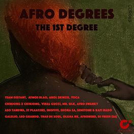 Album cover of Afro Degrees: The 1st Degree