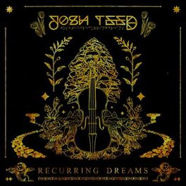 Album cover of Recurring Dreams