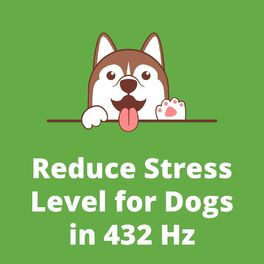 Album cover of Reduce Stress Level for Dogs in 432 Hz