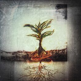 Album cover of Patience