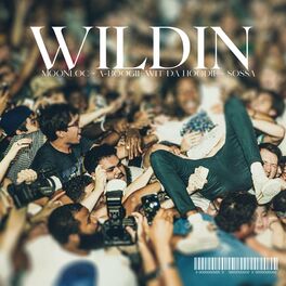 Album cover of Wildin