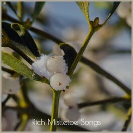 Album cover of Rich Mistletoe Songs