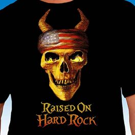 Album cover of Raised on Hard Rock