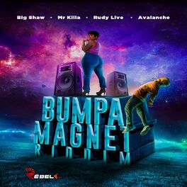 Album cover of Bumper Magnet Riddim