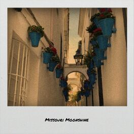 Album cover of Missouri Moonshine
