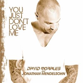 Album cover of You Just Dont Love Me