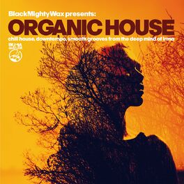 Album cover of Organic House (Chill House, Downtempo, Smooth Grooves From The Deep Mind of Irma)