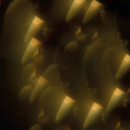 Album cover of Music from 'Likely Stories'
