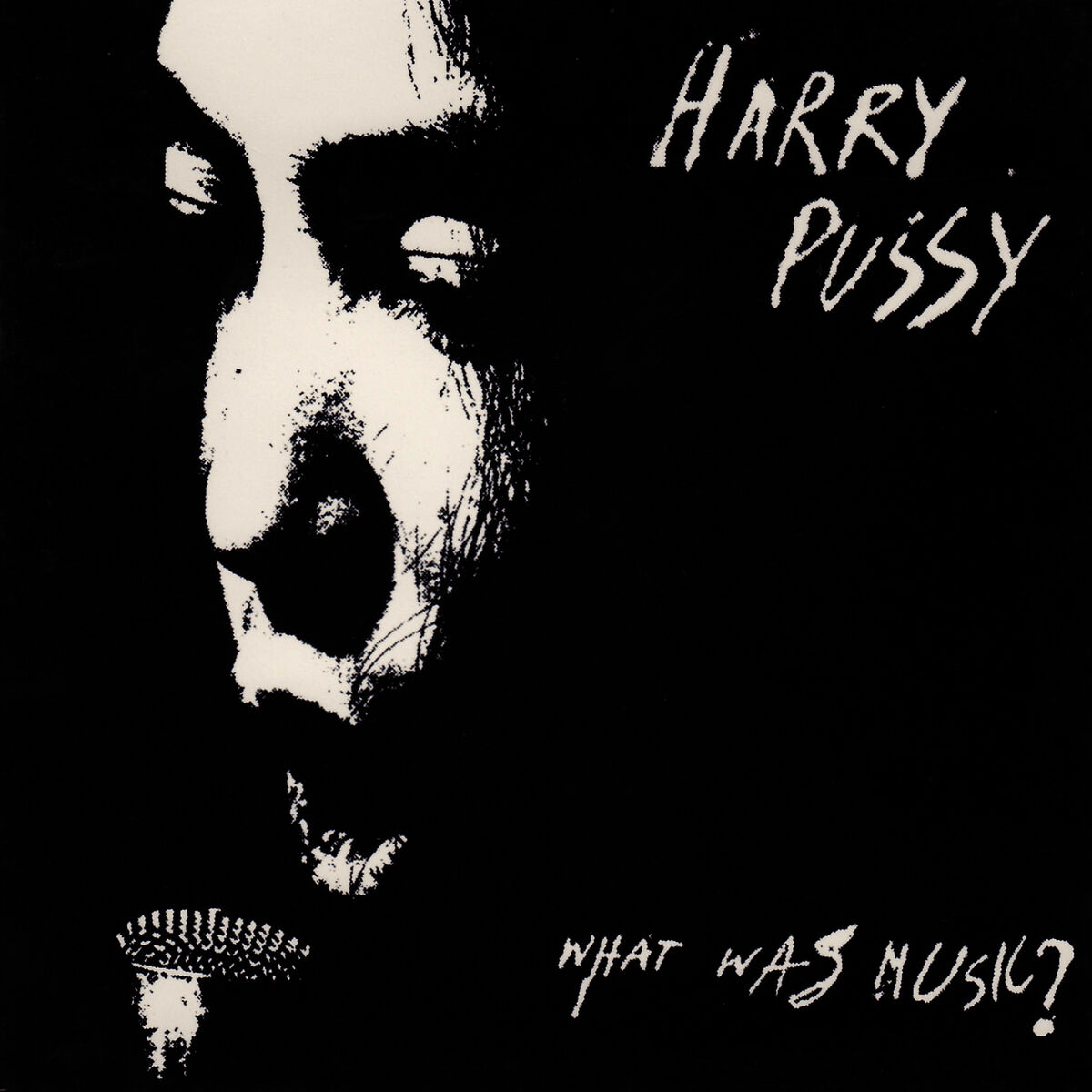 Harry Pussy: albums, songs, playlists | Listen on Deezer