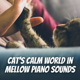 Album cover of Cat's Calm World in Mellow Piano Sounds