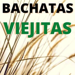 Album cover of Bachatas Viejitas