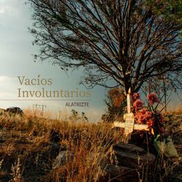 Album cover of Vacíos Involuntarios