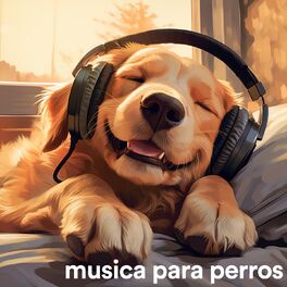 Album cover of musica para perros (Musica clasica para perros tranquilos y felices)
