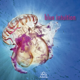 Album cover of Blue Intuition
