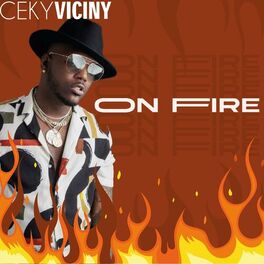 Album cover of On Fire