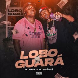 Album cover of Lobo Guará