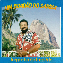 Album cover of Um Cidadão do Samba