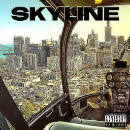 Album cover of Skyline