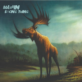 Album cover of Strong Thing